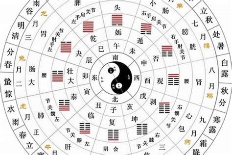 八卦对应五行|易经：八卦和五行的对应关系